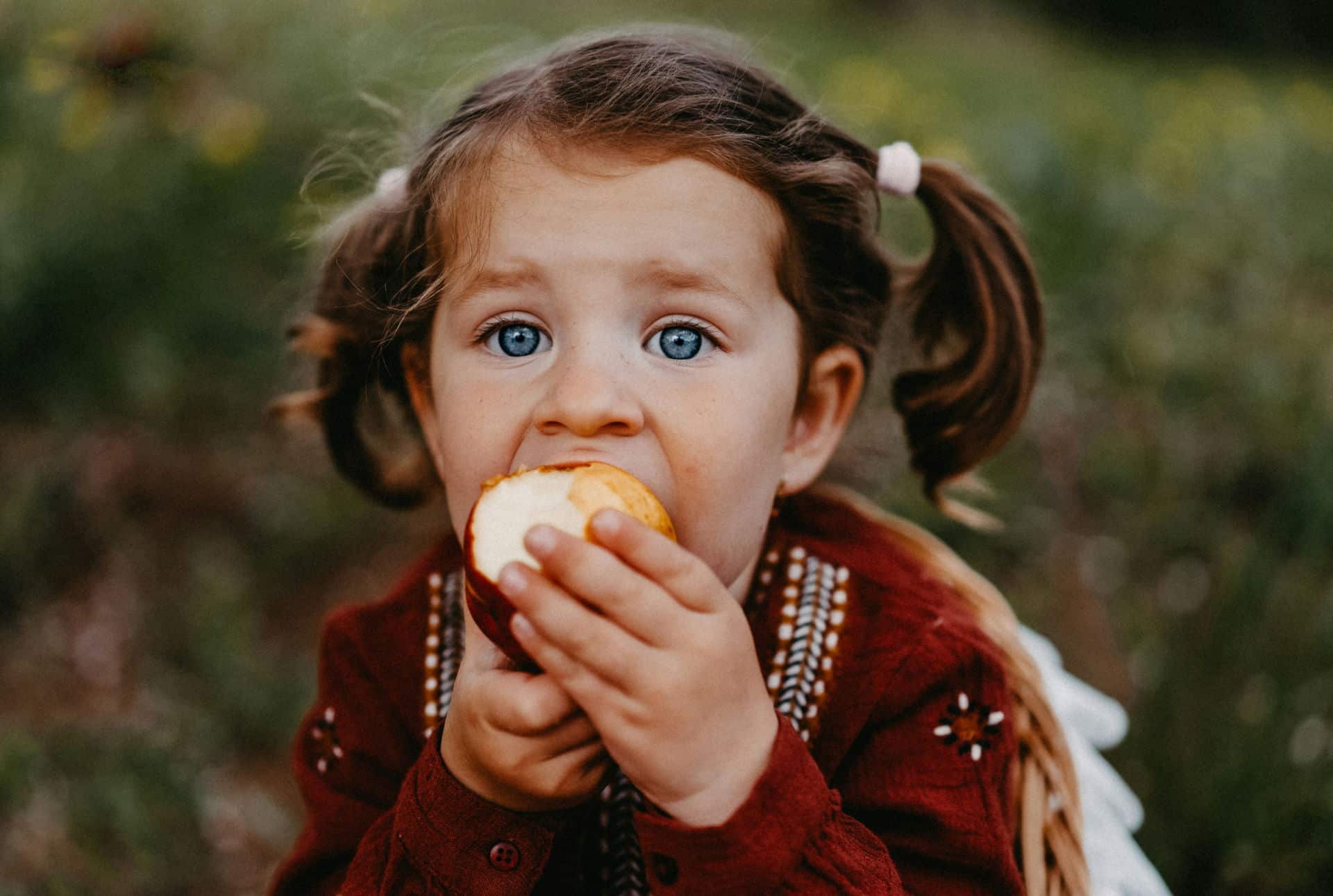 Une petite fille dévore un petit pain ou une pomme - Photo de Raymond Petrik sur https://unsplash.com/fr/photos/une-petite-fille-mangeant-une-pomme-dans-un-champ-ZTlXIJXZM0s