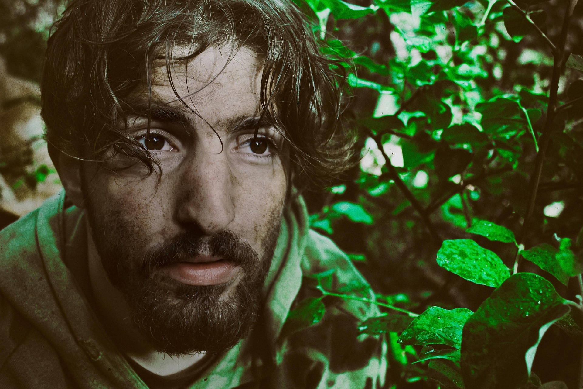 visage d'un homme luttant pour sa survie dans la jungle - Image par Fatih Altasov de https://pixabay.com/fr/photos/guerre-la-nature-survie-vie-vert-1607955/