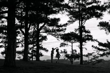 Un couple danse sous des grands pins, illustrant l