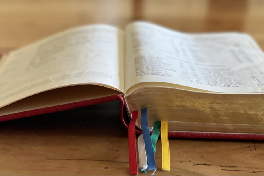 Table des matières d'une Bible, Nouvelle version segond révisée colombe - Photo https://jecherchedieu.ch
