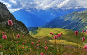 Alpage avec de joyeuses fleurs roses et une vue dégagée sur les montagnes - Photo de ani subari sur https://unsplash.com/fr/photos/fleurs-roses-au-premier-plan-dune-vallee-avec-des-montagnes-en-arriere-plan-gLHCnysmFO4