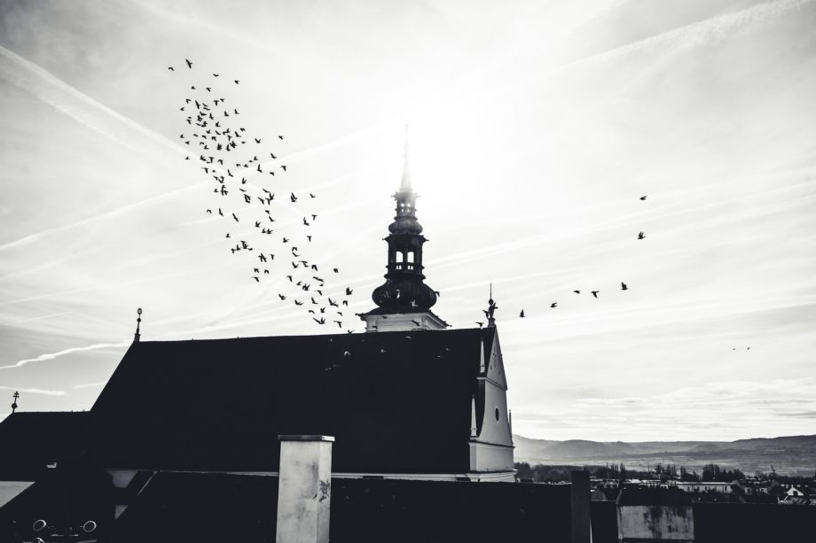 Photo en noir et blanc du toit d'une église se détachant sur le ciel avec des oiseaux qui vont à gauche ou à droite - Image by Leonhard Niederwimmer from https://pixabay.com/photos/krems-dom-kremer-dom-lower-austria-7619682/