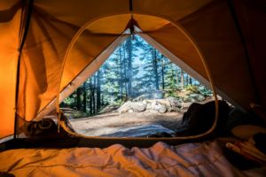 Vue de l'intérieur d'une tente de camping sur un joli paysage de forêt avec un feu de camp