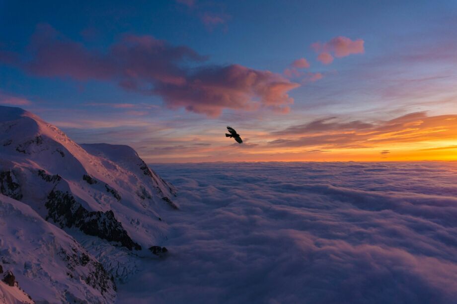 Un aigle volant au dessus d'une mer de nuages en montagne au dessu sde Chamonix - Photo de Sylvain Mauroux sur https://unsplash.com/fr/photos/oiseau-volant-au-dessus-dune-montagne-enneigee-pendant-la-journee-jYCUBAIUsk8