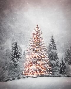 Sapin décoré et illuminé dans une forêt enneigée - Image par Petra de https://pixabay.com/fr/photos/hiver-no%c3%abl-sapin-de-no%c3%abl-neige-6858476/