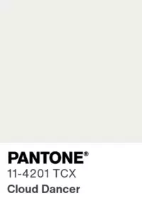 la couleur de l'année 2026 PANTONE 11-4201 Cloud Dancer, choisie par Pantone - voir https://www.pantone.com/eu/fr/color-of-the-year/2026