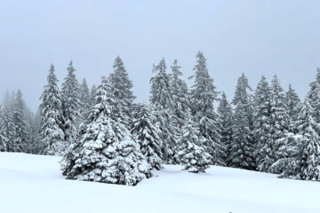 Prochain culte : le soir de Noël, 24 décembre 2025 à 23h au temple de Vandœuvres