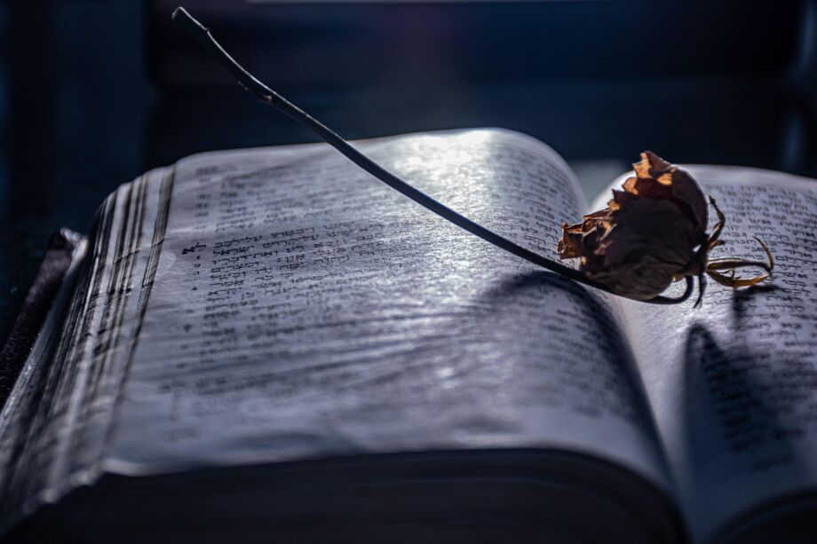 Vielle bible en hébreu avec une fleur fanée nostalgique d'une vie perdue - Image by Ri Butov from https://pixabay.com/photos/open-book-nostalgia-mood-literature-7637805/