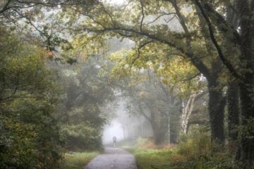 Un pèlerin traverse une grande forêt dans la brume - Photo de Johanneke Kroesbergen-Kampssur https://unsplash.com/fr/photos/une-personne-a-velo-sur-une-route-entouree-darbres-5VTbXynZFWA