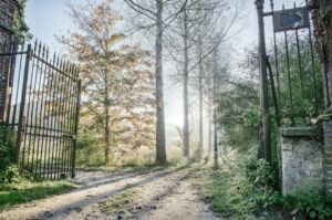 La grille d'un parc ouverte sur la nature extérieure - Photo de Gunther Samsonsur https://unsplash.com/fr/photos/porte-ouverte-menant-a-un-sentier-forestier-brumeux-ttTGq2M05xE