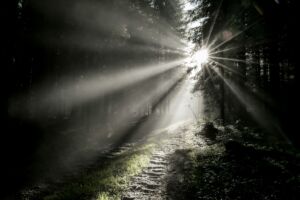 Un chemin caillouteux dans une forêt sombre, allant vers la lumière - Photo de Julian Hanslmaier sur https://unsplash.com/fr/photos/rayons-du-soleil-traversant-un-champ-dherbe-verte-xqkTSycMd-Y