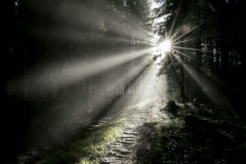 Un chemin caillouteux dans une forêt sombre, allant vers la lumière - Photo de Julian Hanslmaier sur https://unsplash.com/fr/photos/rayons-du-soleil-traversant-un-champ-dherbe-verte-xqkTSycMd-Y