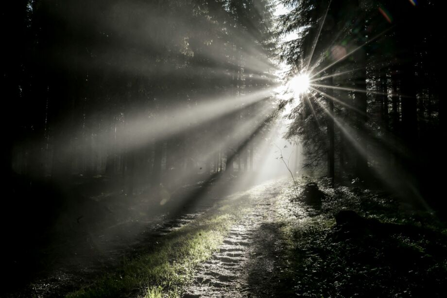 Un chemin caillouteux dans une forêt sombre, allant vers la lumière - Photo de Julian Hanslmaier sur https://unsplash.com/fr/photos/rayons-du-soleil-traversant-un-champ-dherbe-verte-xqkTSycMd-Y