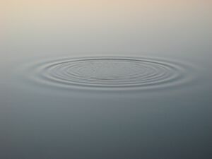 une onde unique et subtile se propageant à la surface d'une eau parfaitement calme. Cela symbolise le chuchotement divin au fond de l'âme tranquille - Photo de Javier Virues-Ortegasur https://unsplash.com/fr/photos/une-ondulation-dans-un-plan-deau-avec-un-ciel-brun-en-arriere-plan-A3jNBVsevhI