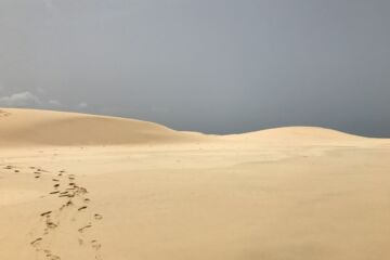 « Mais en venant, le Fils de l&rsquo;homme trouvera-t-il la foi sur la terre ? » (Luc 18:8)
