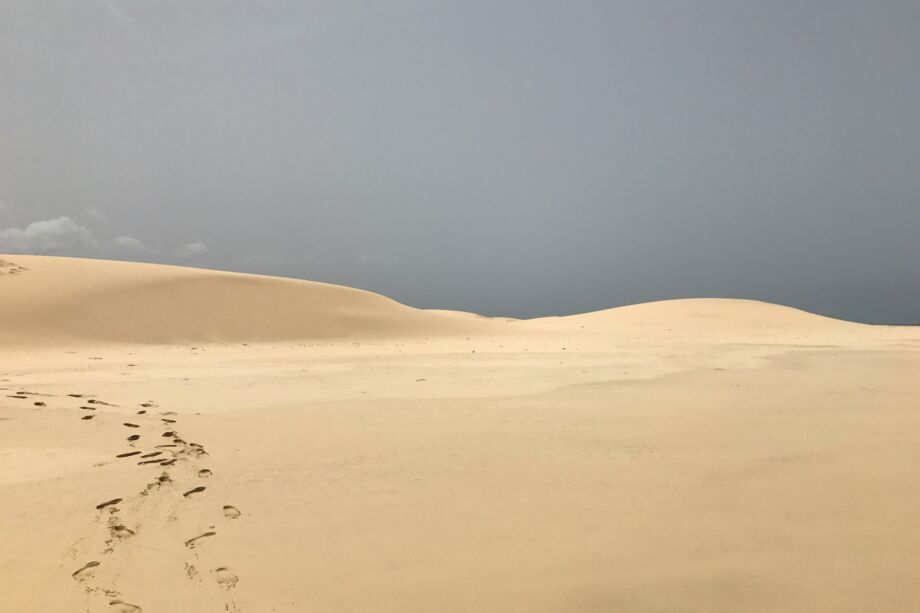 Des traces de pas un petit peu mêlées sur le sable - Photo de Paul Smith sur https://unsplash.com/fr/photos/sable-brun-avec-des-plantes-vertes-pendant-la-journee-PeMuzWVHdmU