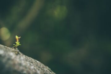 « Tenez bon » (Galates 5:1)