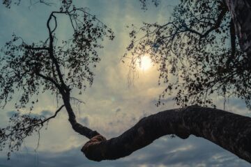 « N’attristez‭‭ pas‭ le Saint‭-Esprit‭.‭ »  (Éphésiens 4:30)