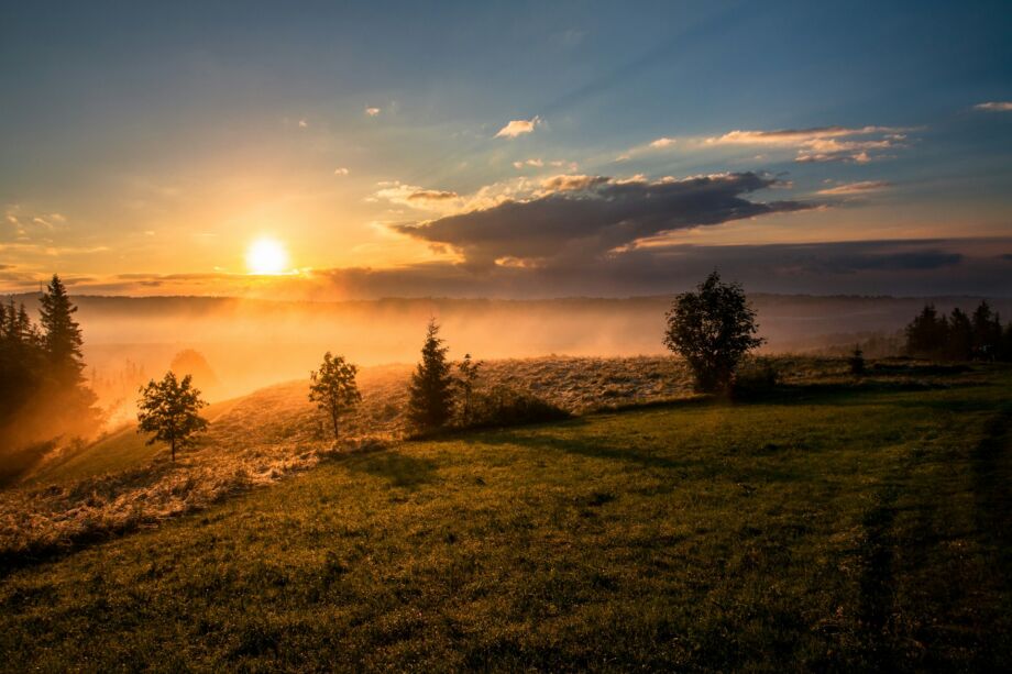 Aube sur un lac avec brume - Photo de Dawid Zawiła sur https://unsplash.com/fr/photos/arbres-sous-ciel-nuageux-au-coucher-du-soleil--G3rw6Y02D0