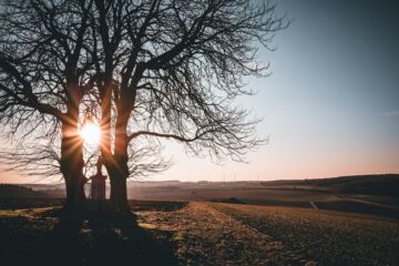Une relation fidèle avant le mariage est-elle une véritable alliance devant Dieu ?