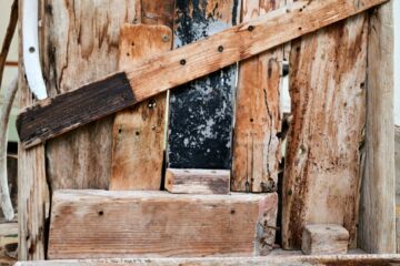 Jésus : « Je ne suis pas venu appeler des justes, mais des pécheurs. » (Matthieu 9:13)