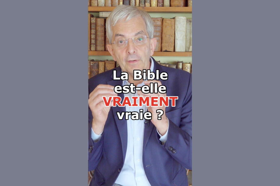 Capture d'écran du short.