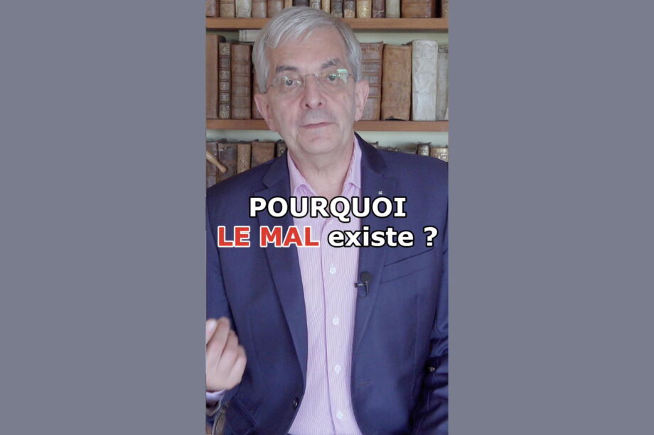 copie d'écran du short sur la théodicée
